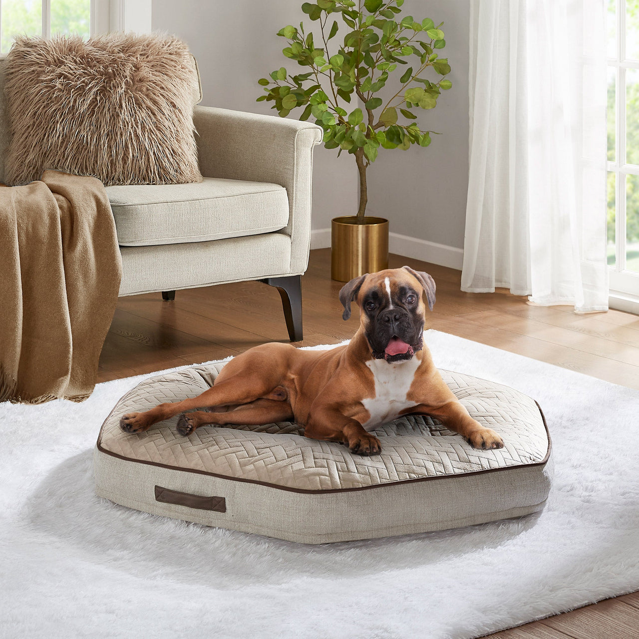 42" Hexagon Pet Napper - Melillo EnterprisesDog BedsGo toPet Supplies