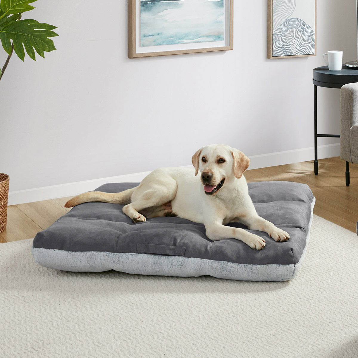 42" X 42" Square Tufted Napper - Melillo EnterprisesDog BedsGo toPet Supplies