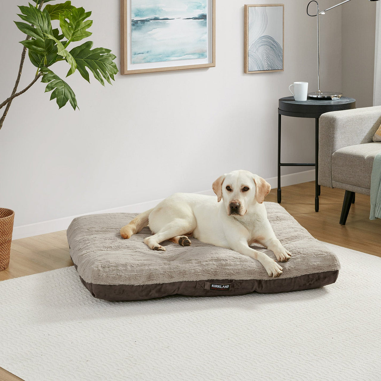 42" X 42" Square Tufted Napper - Melillo EnterprisesDog BedsGo toPet Supplies