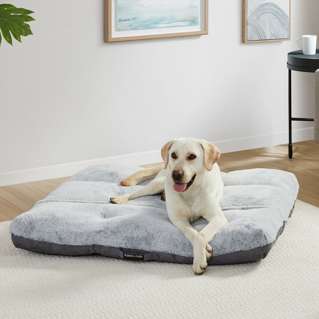 42" X 42" Square Tufted Napper - Melillo EnterprisesDog BedsGo toPet Supplies