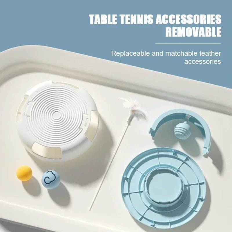 Gravity - Driven Table Tennis Cat Toy – Interactive Spinning Turntable with Catnip Ball - Melillo Enterprises