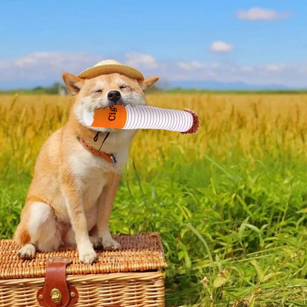Squeaky Plush Cigar Chew Toy for Dogs – Interactive Teething & Training Toy - Melillo Enterprises