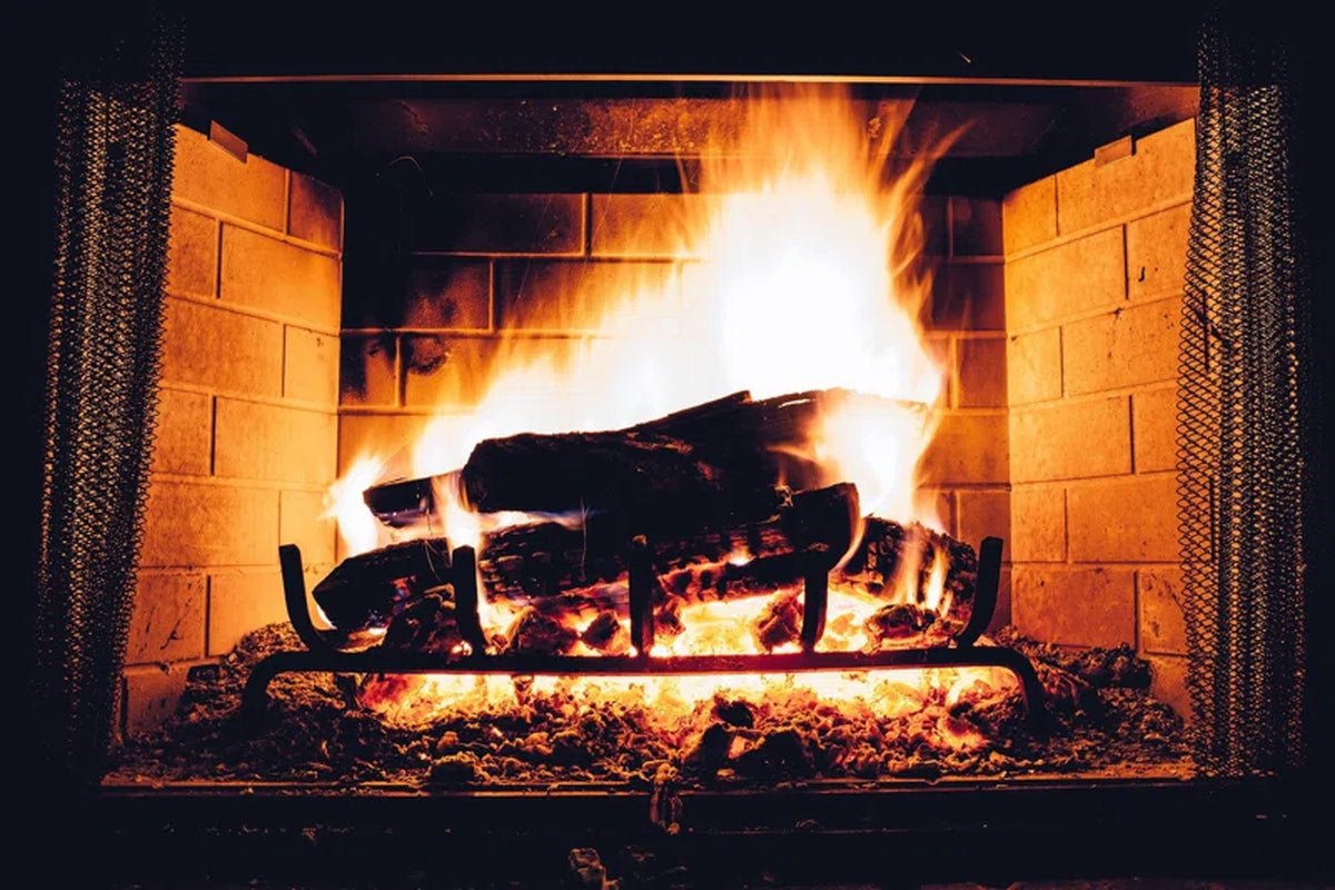 Wilson Birch Split Firewood - Seasoned Natural Kiln Dried Fireplace, Fire Pit, Bonfire Logs - Melillo EnterprisesAll categories