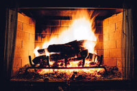 Wilson Birch Split Firewood - Seasoned Natural Kiln Dried Fireplace, Fire Pit, Bonfire Logs - Melillo EnterprisesAll categories
